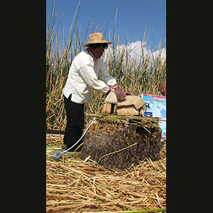 Titicaca