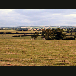 England