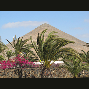 Canaries