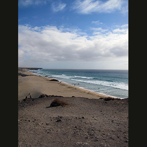 Canaries