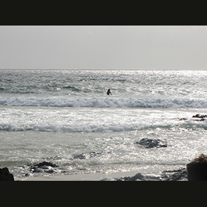 Canaries