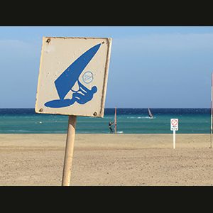 Canaries