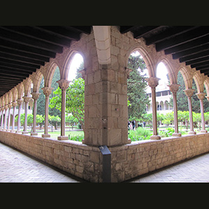 Santes Creus