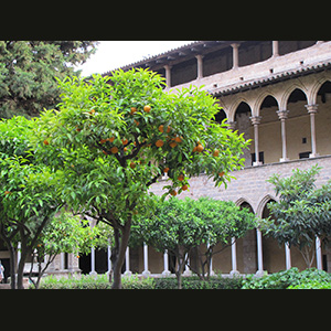 Santes Creus