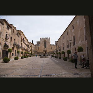 Pedralbes