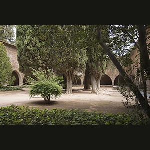 Pedralbes