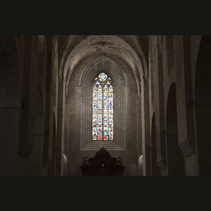 Pedralbes