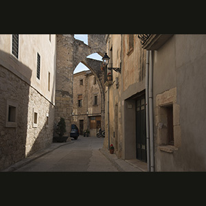 Vallbona de les monges