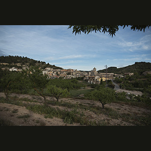 Vallbona de les monges