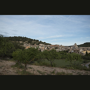 Vallbona de les monges