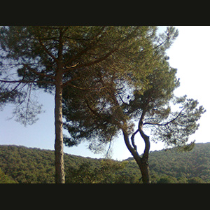 Parc del Corredor