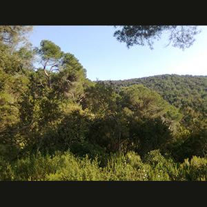 Parc del Corredor