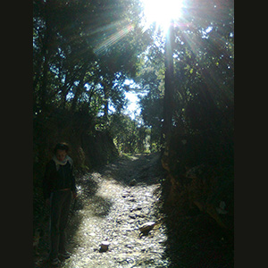 Parc del Corredor