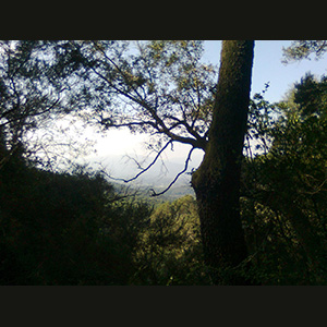 Parc del Corredor