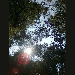 Parc del Corredor