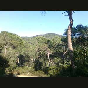 Parc del Corredor