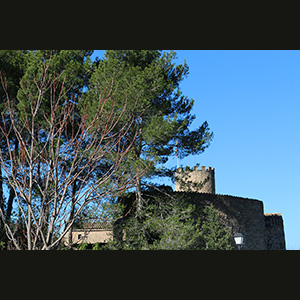 Talamanca