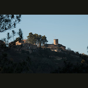 Talamanca