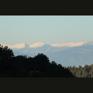 Talamanca