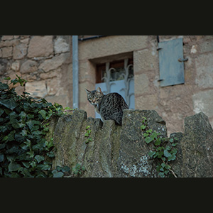 Talamanca