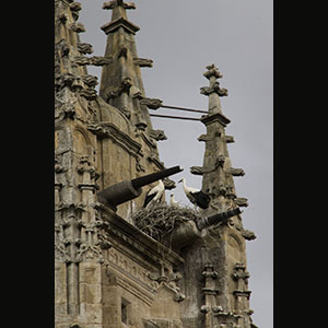 Salamanca