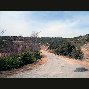 Monastero di Monsalud - La campagna
