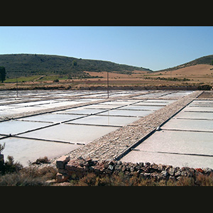 Atienza - Saline