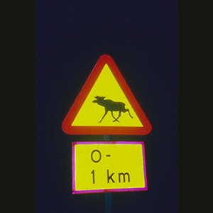 Sweden