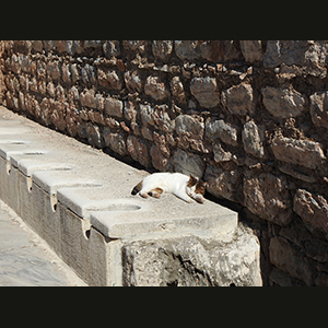 Ephesus