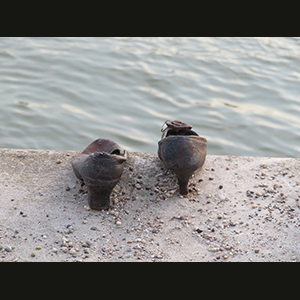 Budapest - Memoriale Scarpe sulla riva del Danubio