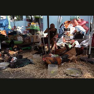 HCMC - People of Cholon
