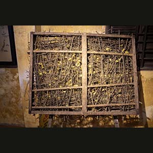 Hoi An - The Silk Village