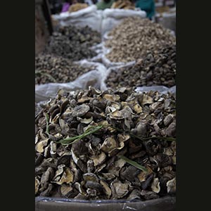 Hanoi - Dong Xuan Market