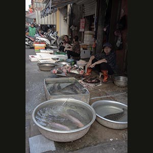 Hanoi
